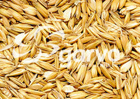 Garvo | Geplette haver 5116 | 15kg