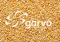 Garvo | Geel millet 5331 | 20kg
