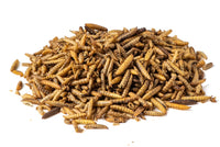 BSF larve | Calciworms | Black soldier fly larve | Kippenvoer | Tuinvogelvoer | 10kg