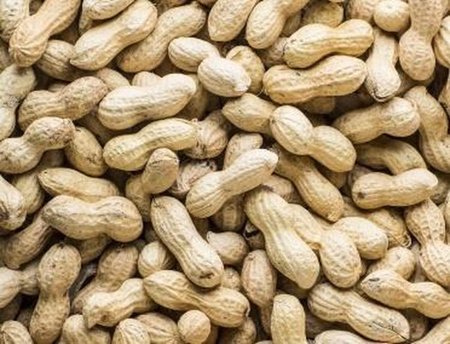 Doppinda's | Grondnoten | Pinda's in de dop | Vogelvoer | 10kg