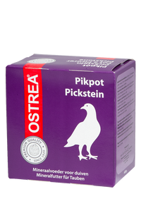 Pikpot ostrea rood | 24 stuks