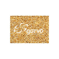 Garvo | Wit millet 5357 | 20kg