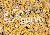 garvo solution eivoer product
