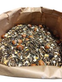 Close-up eekhoornvoer met hazelnoten en zonnebloempitten – Voerwaarts 12,5kg