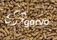 Garvo ras kuikenkorrel product