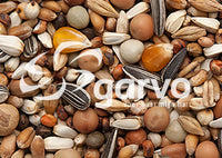 853middelgroterassenenkleurduiven product