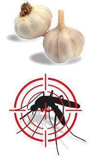 Blockemel Fly Free - 20kg - voor minder overlast van insecten bij vee - met knoflook - rundveevoer - Schapenvoer